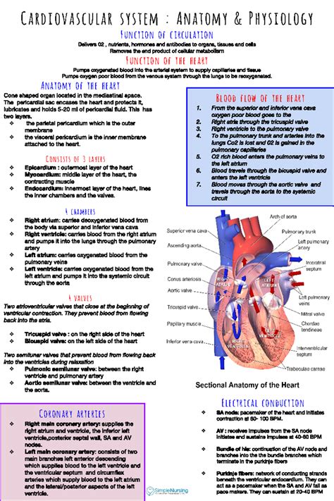 Word Hike Medical study of the heart [ Answer ] .